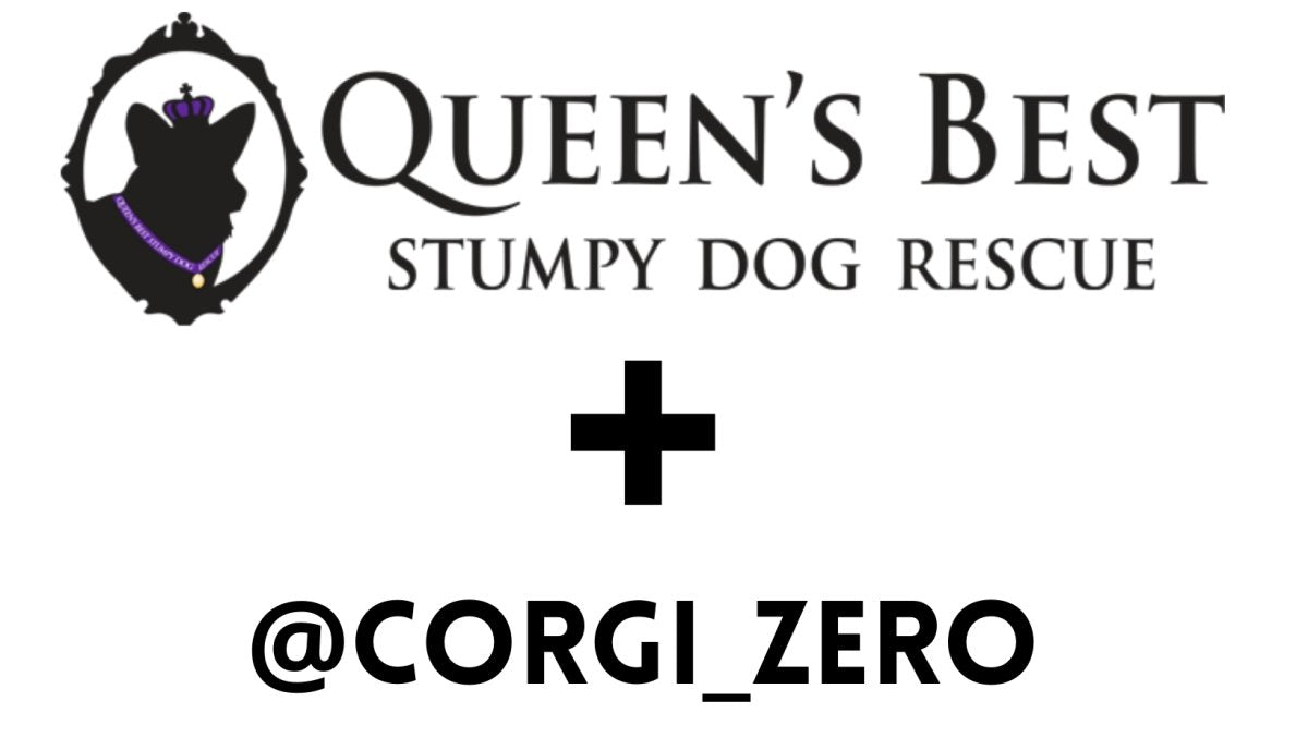 Corgis are PAWESOME - and here's a rescue organization that agrees! | SOCK DOGGO