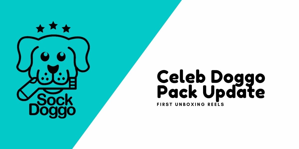 Meet our new Pack of Celebrity Doggos? | SOCK DOGGO