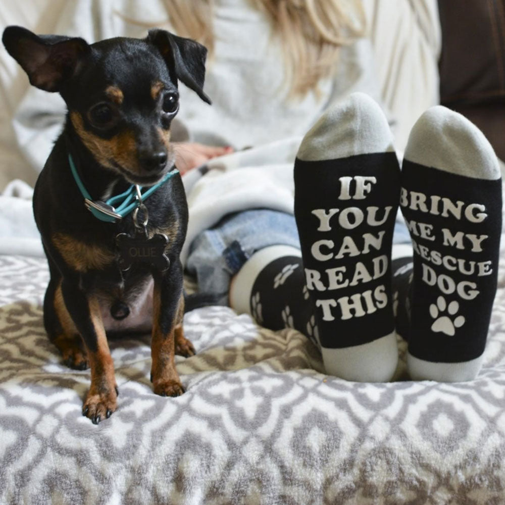 Bring Me My Wiener Dog Dachshund Socks - Sock Doggo - Ladies and Mens - SOCK  DOGGO