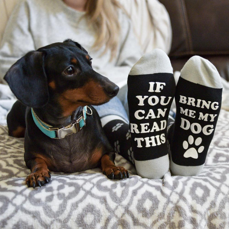 Bring Me My Dog Socks Sock Doggo Ladies and Mens SOCK DOGGO