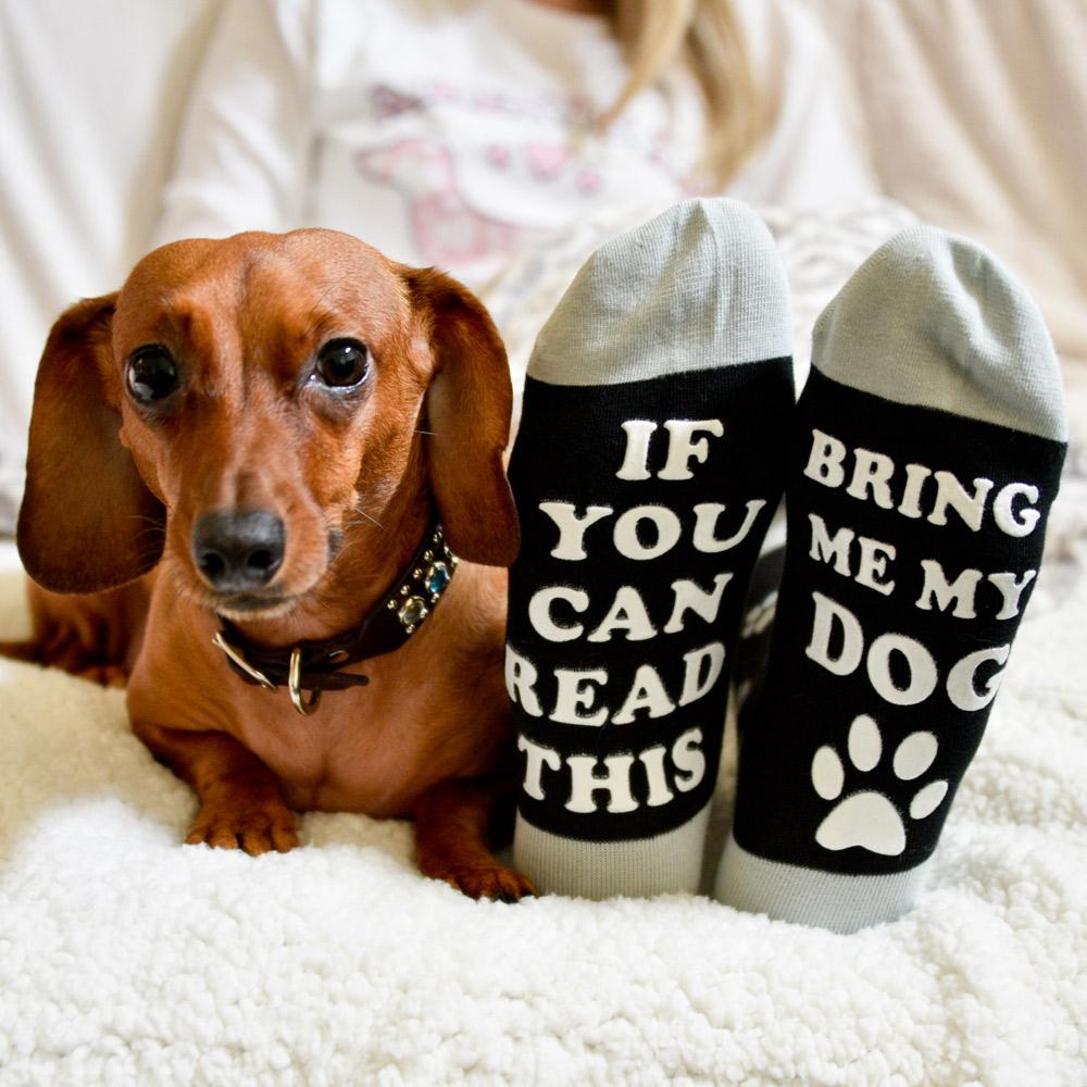Bring Me My Dog Socks - SOCK DOGGO