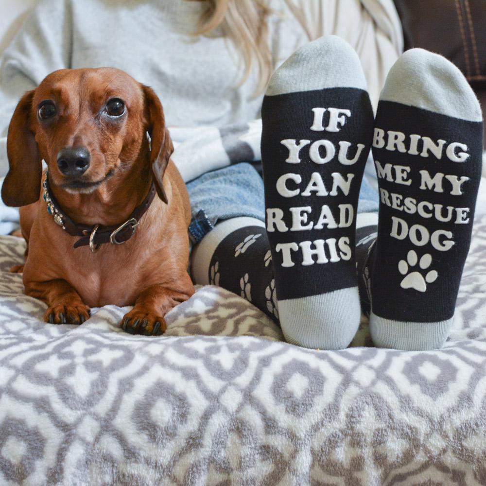 Bring Me My Rescue Dog Socks - SOCK DOGGO
