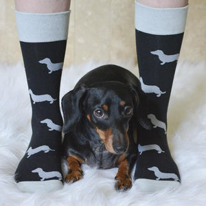 Bring Me My Dog Socks - Sock Doggo - Ladies and Mens - SOCK DOGGO