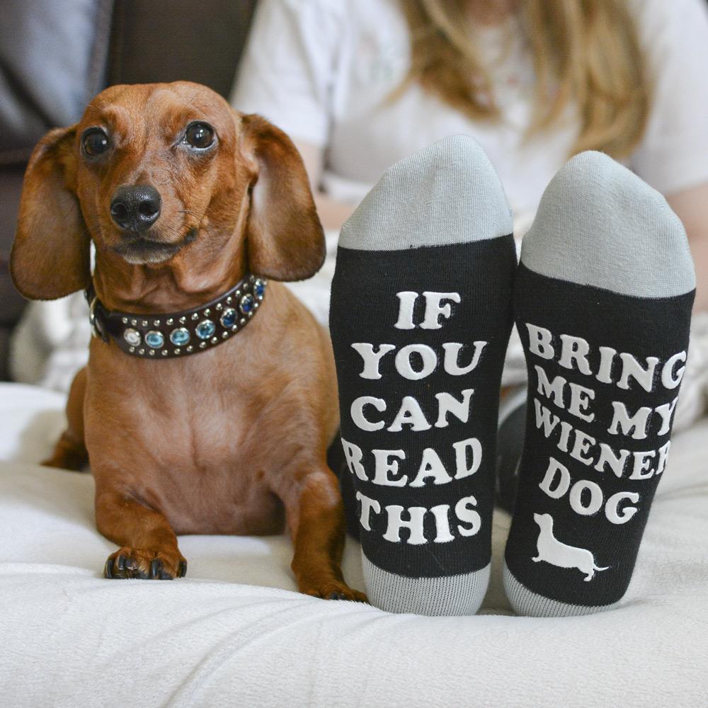 Bring Me My Wiener Dog Socks - SOCK DOGGO