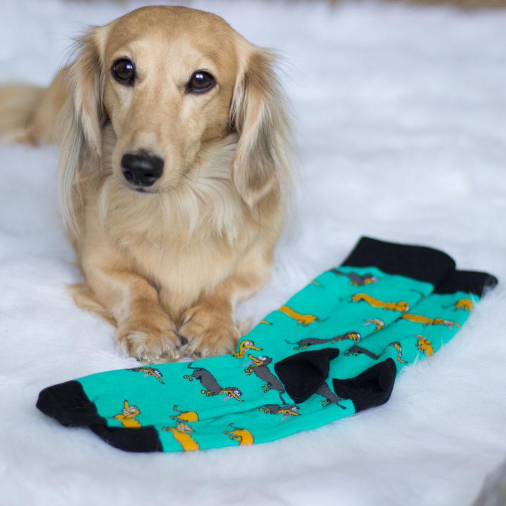 Cartoon Socks - Doxie Socks - Mens - SOCK DOGGO