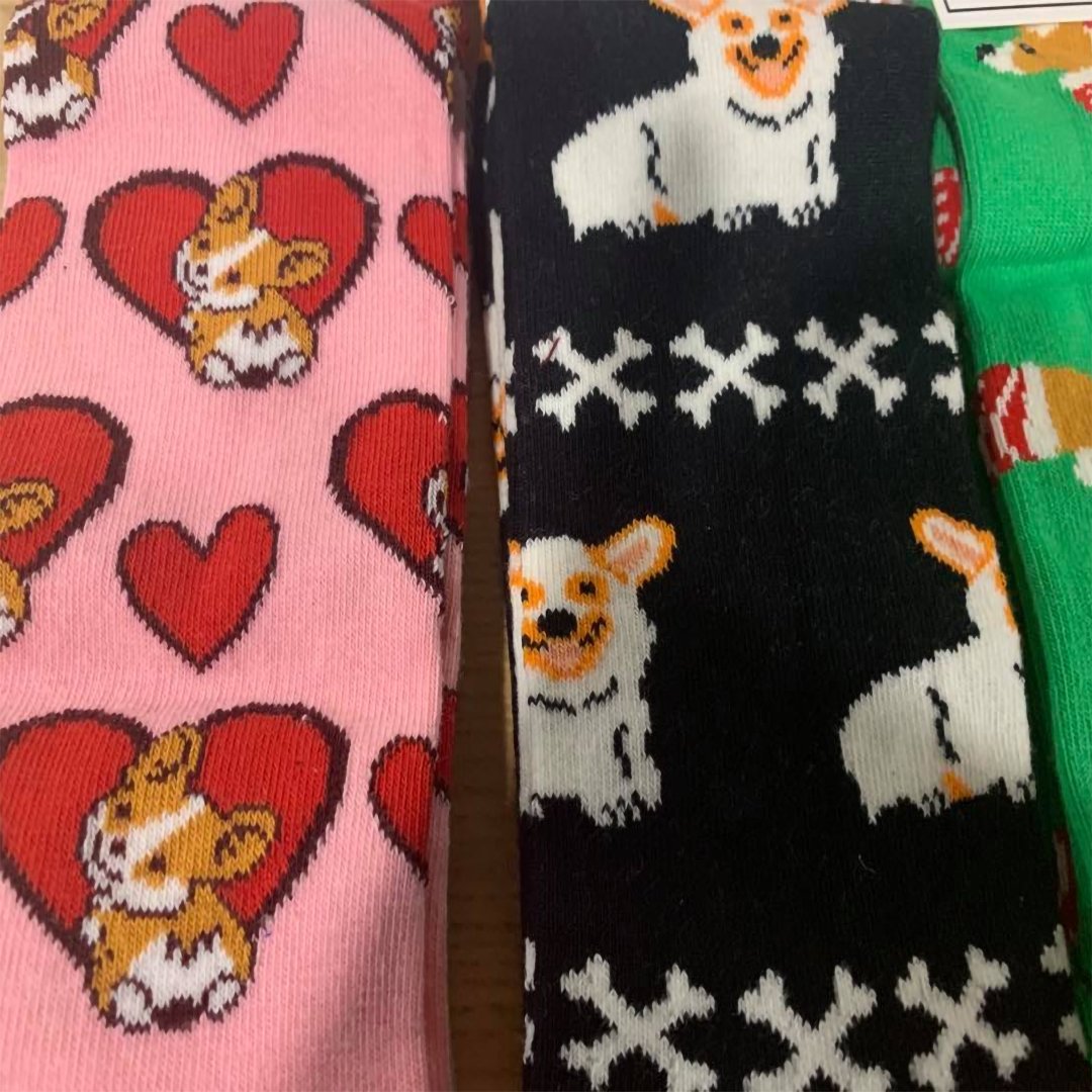 Corgi - Holiday Collection Box - SOCK DOGGO