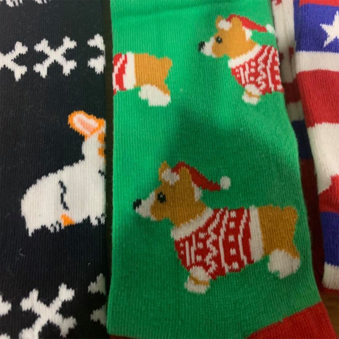 Corgi - Holiday Collection Box - SOCK DOGGO
