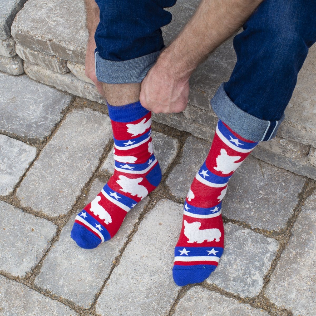 Corgi - Holiday Collection Box - SOCK DOGGO