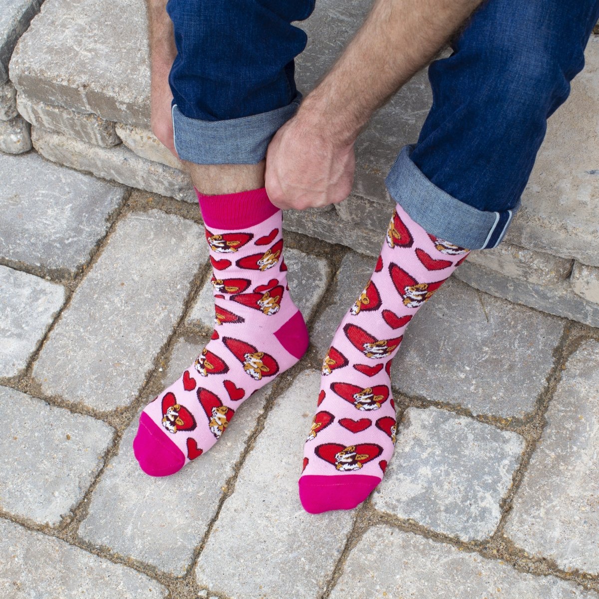 Corgi - Holiday Collection Box - SOCK DOGGO