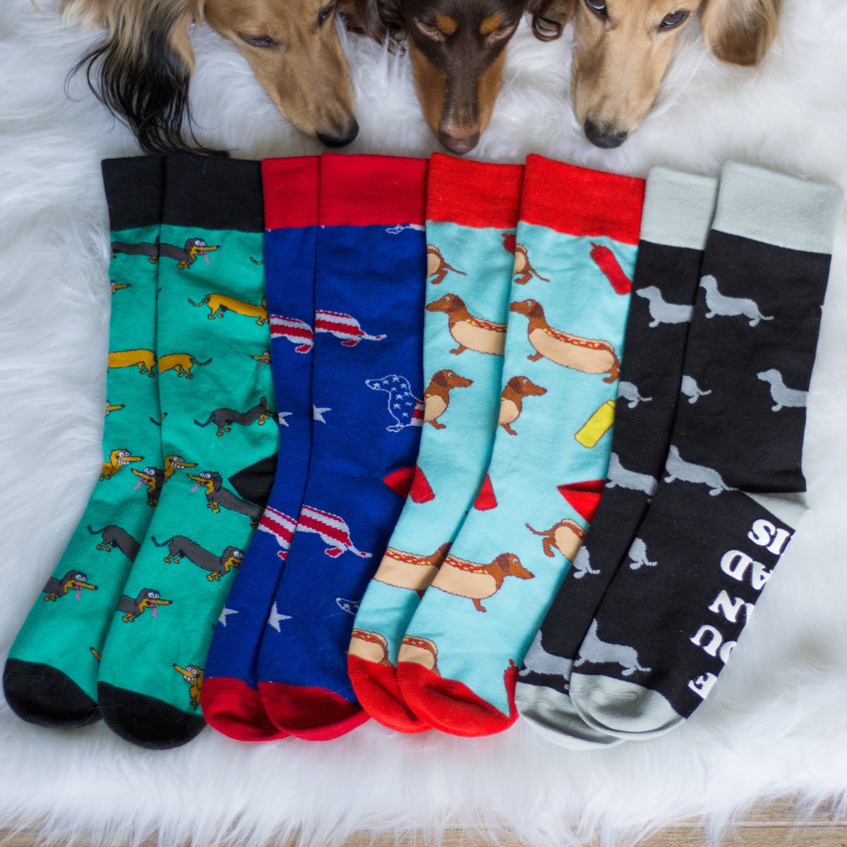 Doxie Socks Gift Box - RESTOCKED - SOCK DOGGO