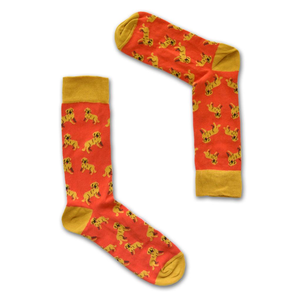 Golden Boy - Great Golden Socks - SOCK DOGGO