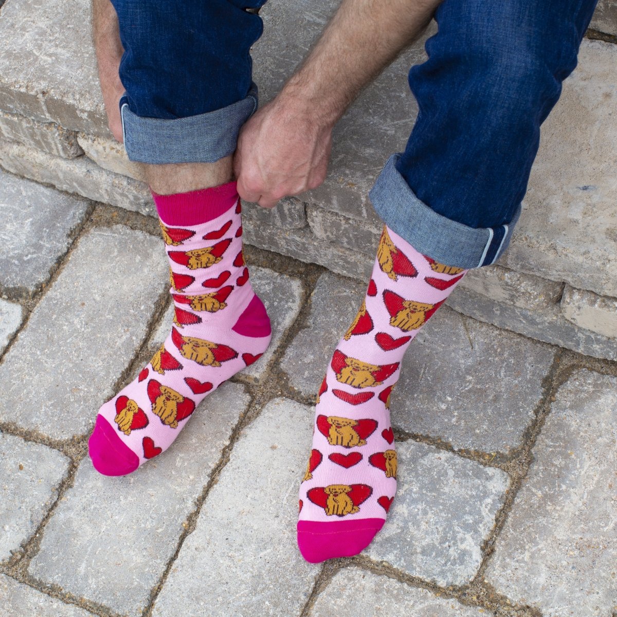 Golden Retriever - Holiday Collection Box - SOCK DOGGO