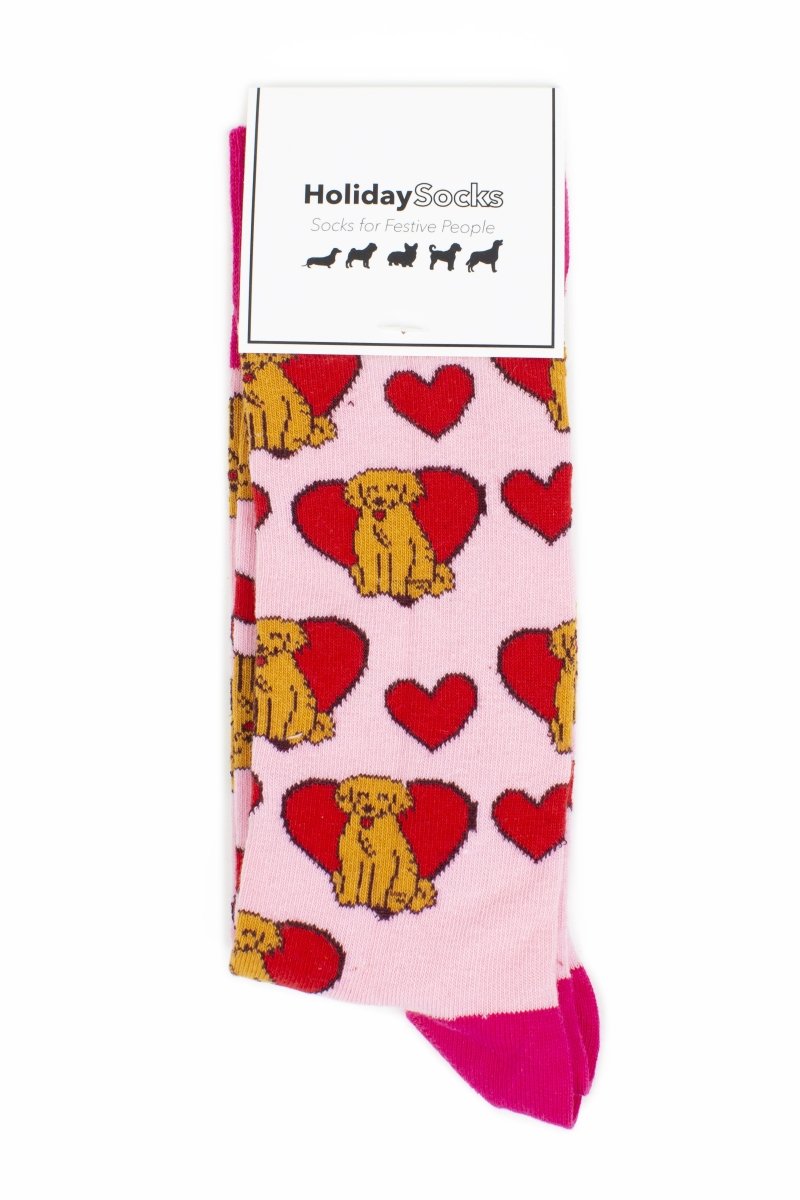 Golden Retriever - Holiday Collection Box - SOCK DOGGO