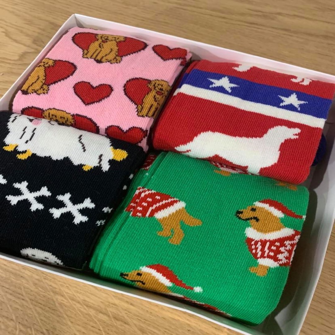 Golden Retriever - Holiday Collection Box - SOCK DOGGO