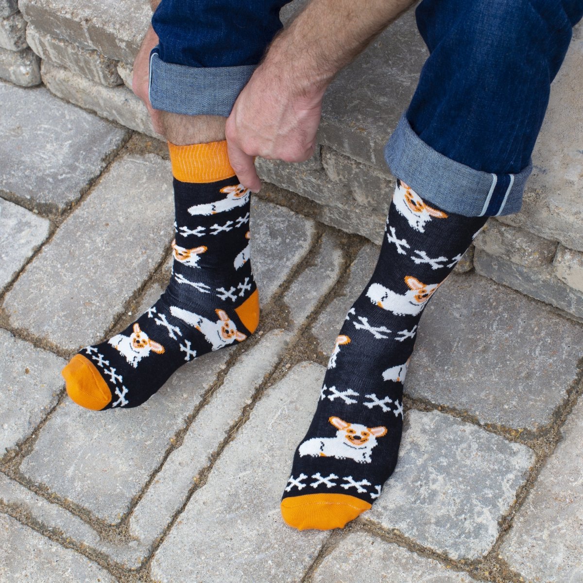 Halloween Corgi Socks - Holiday Collection - SOCK DOGGO