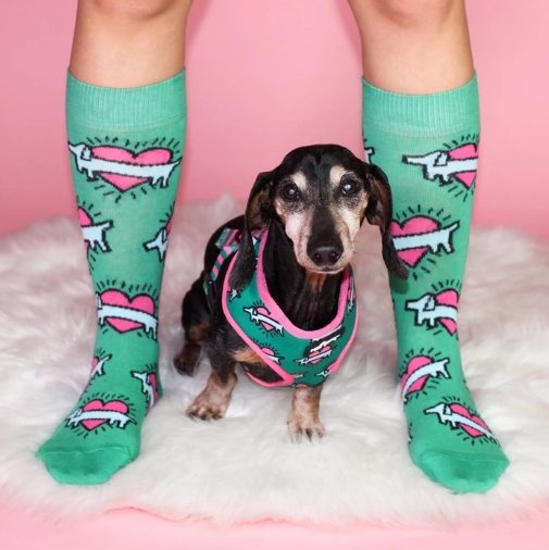 He-art Socks - Doxie Socks x bean goods - SOCK DOGGO