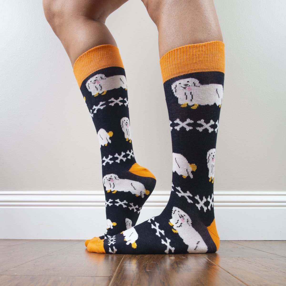 Holiday Box Collection - SOCK DOGGO