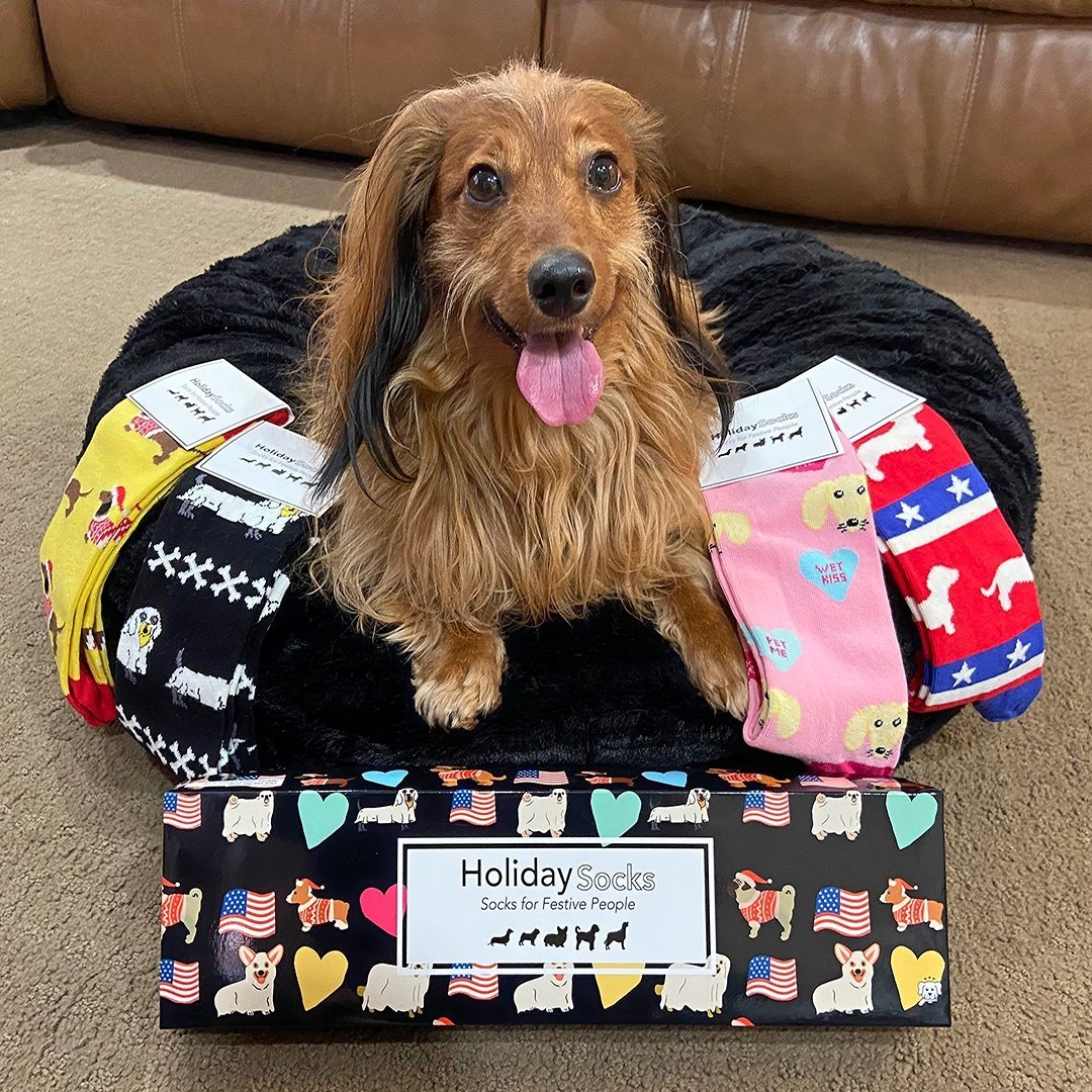 Holiday Box Collection - SOCK DOGGO