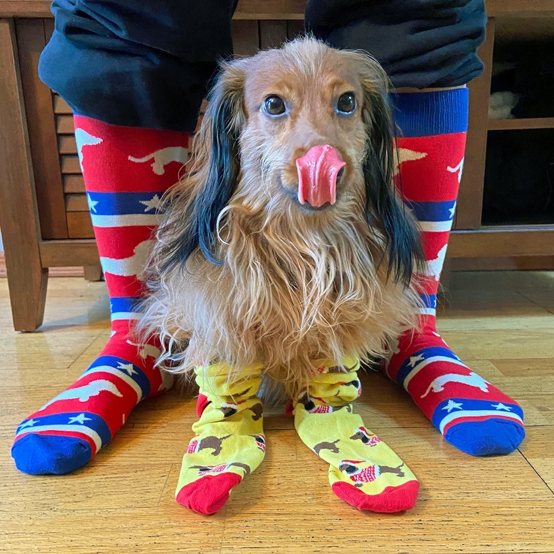 Holiday Box Collection - SOCK DOGGO
