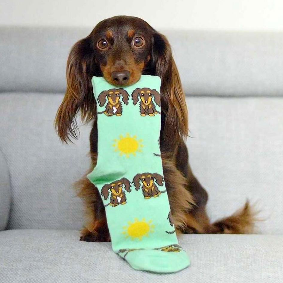 Lana &amp; Luke - Doxie Socks - Celebrity Doggo - SOCK DOGGO