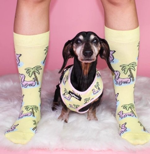 Palm Dox - Doxie Socks x bean goods - SOCK DOGGO