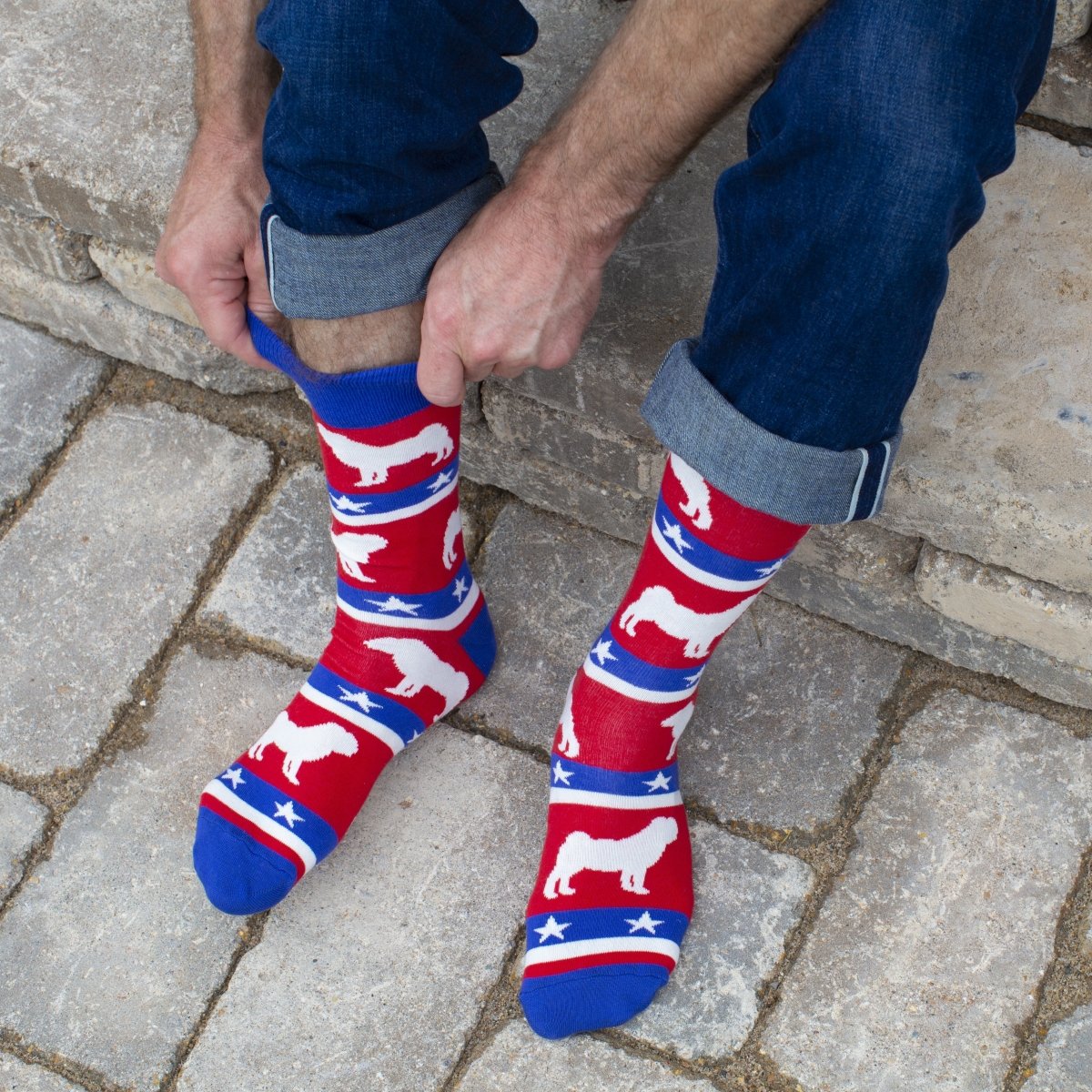 Patriotic Pug Socks - Holiday Collection - SOCK DOGGO